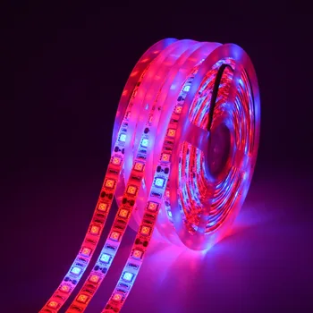 LED Grow lempa Visą Spektrą 5M LED šviesos Juostelės 5050 LED Lanksti led Fito šviesos juostos, Skirtos Šiltnamio efektą sukeliančių Hydroponic Augalų Auginimas