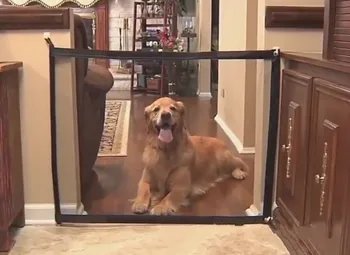Šuo atskirai grynasis pet home durų tvora barjeras saugos patalpose