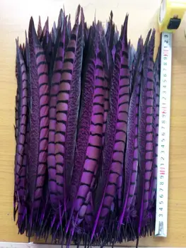 Naujas! Didmeninė violetinė 50 vnt kokybės natūralių Lady Amherst Fazanų plunksnos, 12-14inches / 30-35cm, 