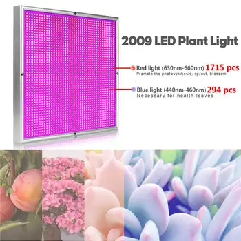 2000W 2009leds LED Grow Lempa viso Spektro LED Augalų Augimo Lempos Patalpų Apšvietimas Augti Šviesos Augalų Hydroponic Sistema, Augti Lauke