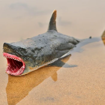 Vandenyno Jūros Gyvenimo Gyvūnų Dantų Ryklys Gyvūnų Modelį Pvc Figūrėlės Povandeninį Pasaulį Imitavimo Modeliai Žaislai
