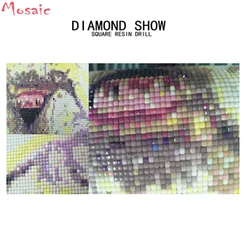 5D visa diamond siuvinėjimo rinkinys modelio diamond tapybos, mozaikos vaizdą strazdų Animacinių filmų neša Namo Apdaila