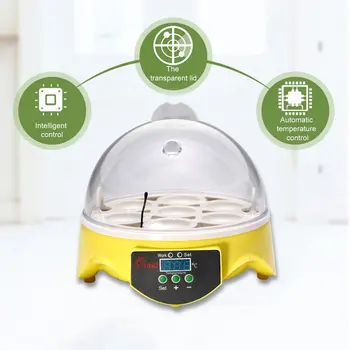 7 Kiaušiniai Inkubatoriaus Plastiko Skaitmeninis Vištienos Temperatūros Kontrolės Automatinis Inkubatorius Hatcher Inkubacijos Įrankiai, Reikmenys
