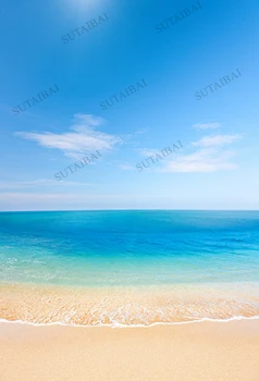 Vasarą Smėlio Paplūdimio Fone Fotografijos Mėlynas Dangus, Jūros Žvaigždė 