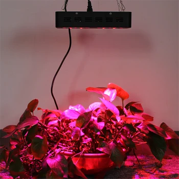 300W 600W 1800W dvigubas jungiklis viso Spektro LED augalų auga šviesos fito lempos fitolamp Patalpų sėja gėlių, Daržovių Bloom režimas