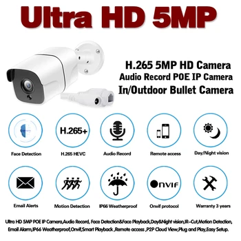 H. 265 Veido Garso Įrašo POE IP Camera 5MP Metalo IP66 atsparus Vandeniui patalpų ir Lauko VAIZDO stebėjimo Kamera, Naktinio Matymo Saugumo Vaizdo ONVIF
